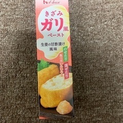 【賞味期限今月まで】ガリ風ペーストチューブ