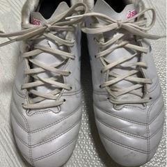★値下げ★DS LIGHT ジュニアの画像