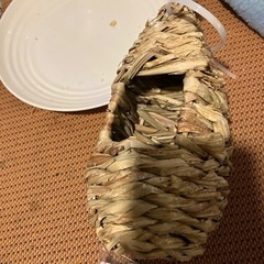 スポーツ 野球