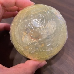 ワンピの実　ニカ