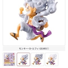 ワンピの実　ニカの画像