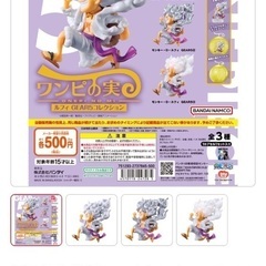 ワンピの実　ニカの画像