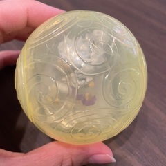 ワンピの実　ニカ