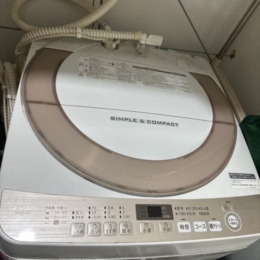 家電 生活家電 洗濯機