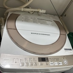 家電 生活家電 洗濯機
