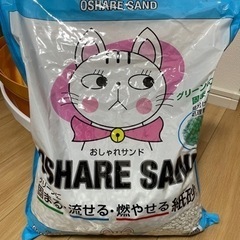 猫用トイレ(アイリスオーヤマ)美品、使用回数1回の画像