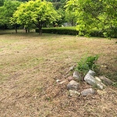 草刈りします