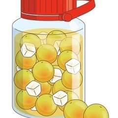 梅酒がつくりたい！