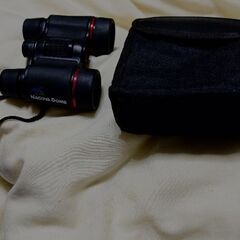 ナゴヤドーム ロゴ入り 双眼鏡 ケース付きの画像