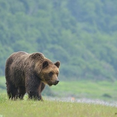 山びこ夏山登山教室