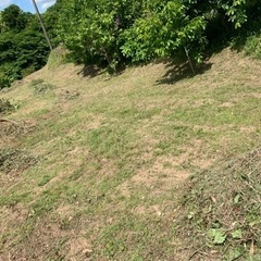 草などが伸びきってしまう前に！！
