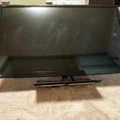 家電 テレビ 液晶テレビ