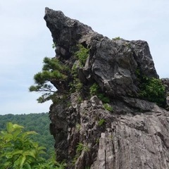 トンビ岩チャレンジ