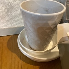 生活雑貨 家庭用品 ガーデニングの画像