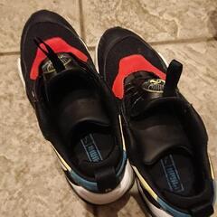 PUMA 28cm ﾃﾞｨｽｸﾌﾞﾚｲｽﾞの画像