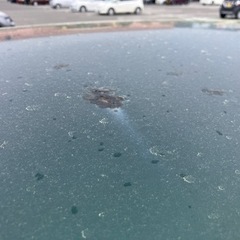 ミニカ　タウンビー　2WD 5MTの画像