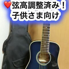 ❤️弦高調整済！「  Artisan　CK-50F」きれいなブル...
