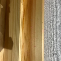 （決まりました）絵本棚 の画像