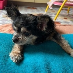 受付終了します