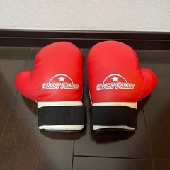ボクシング　グローブ　子供用　おもちゃの画像