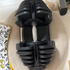 ダンベル　筋トレの画像