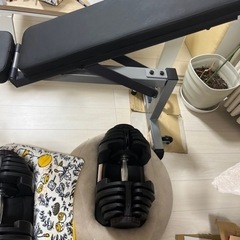 ダンベル　筋トレの画像