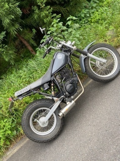 きれいなTW200　スカチューン