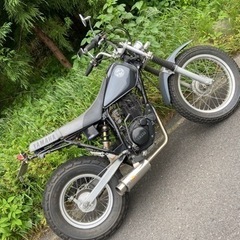 きれいなTW200　スカチューン