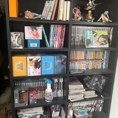 家具 収納家具 本棚