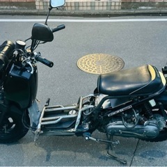 Honda Zoomer ホンダ ズーマー AF58の画像