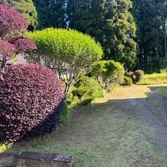 作業員募集