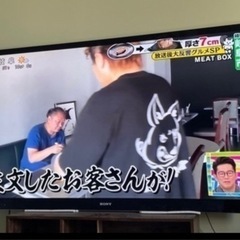 家電 テレビ 液晶テレビ