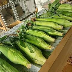 食品