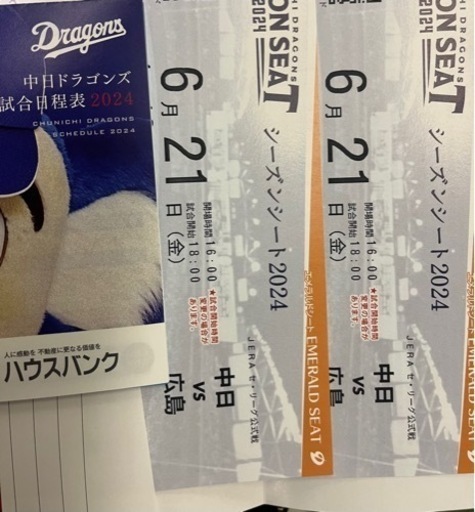 プロ野球　ナゴヤドーム　中日vs広島