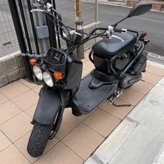 HONDA バイク　ズーマー　zoomer