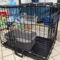 ゲージ　子猫に使用していました。