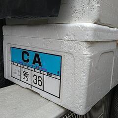 りんご箱（発泡スチロール箱）