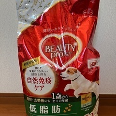犬用ドッグフード
