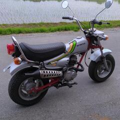 ノーティーダックス 実動車 ホンダ 縦型の画像
