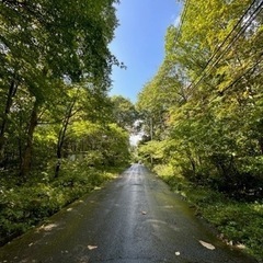 信濃町柏原888㎡(268.62坪)売地