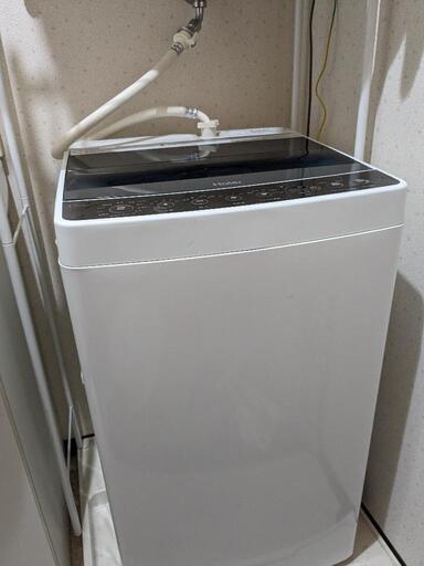 家電 生活家電 洗濯機