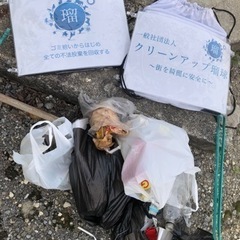 街にゴミが落ちていて被害が出ています、