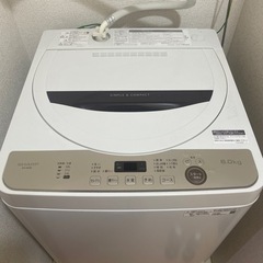 家電 生活家電 洗濯機