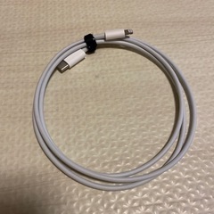 Type-C Lightning 変換アダプター 
