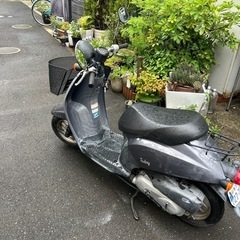 ホンダトゥデイ50   価格30,000円の画像