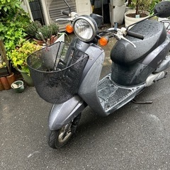 ホンダトゥデイ50   価格30,000円の画像