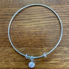 ネックレス新品とおまけのブレスレットの画像