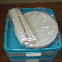 最終値下げ500円【未使用品】行楽に！スヌーピー　ピクニックケース（ランチボックス）３段の画像