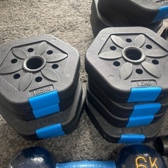 ダンベル　＆　ローラーダンベル　おもり　筋トレグッズ　一式いかがですか？の画像