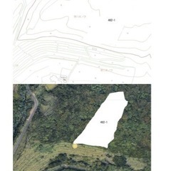 伊豆大島 3,155㎡(954.38坪)の山林地 ※建築不可 - 不動産